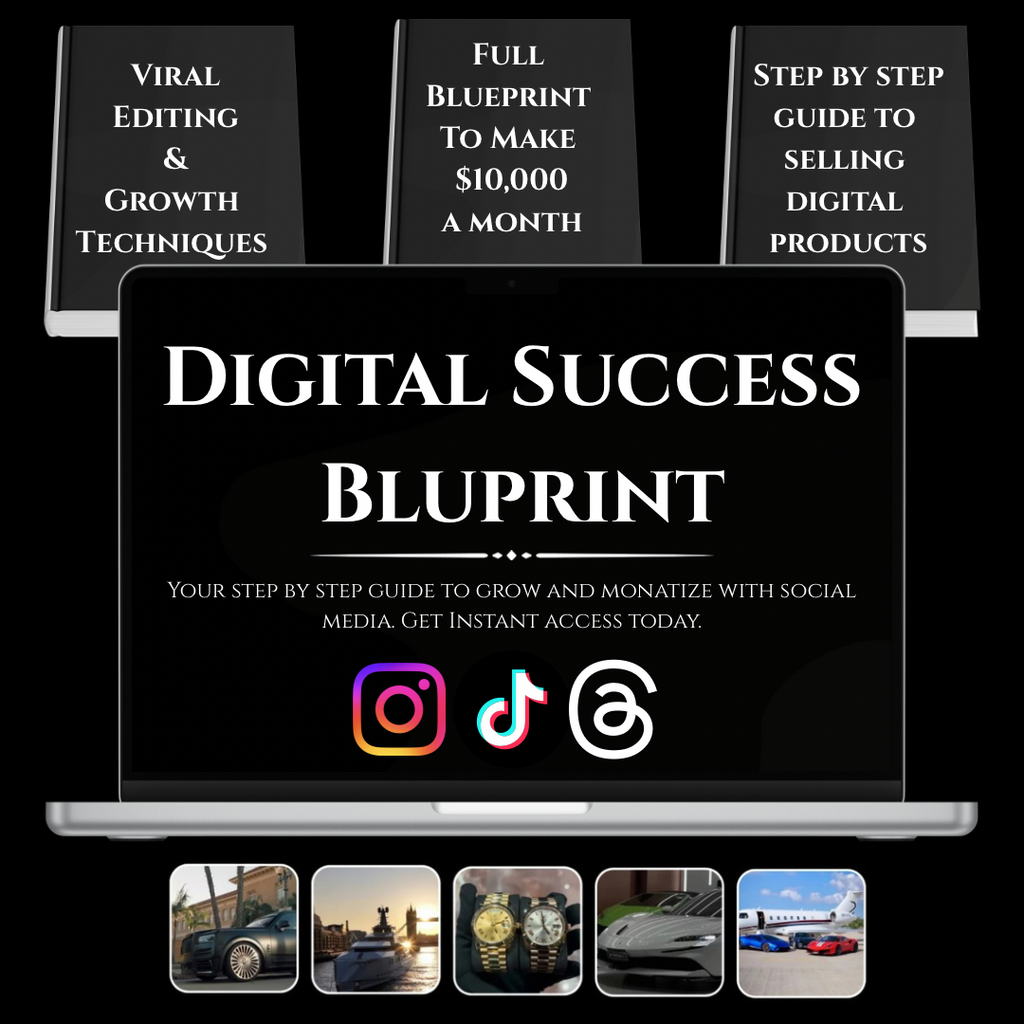 Digital Success Blueprint (PLR)